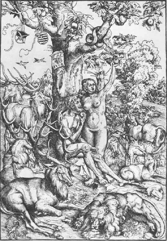 CRANACH, Lucas the Elder Adam and Eve 07 Germany oil painting art